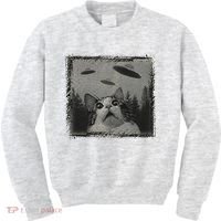 Cat And UFOs Funny Cat Lover Funny Cute Cat Meme Kids Sweatshirt thumb 0