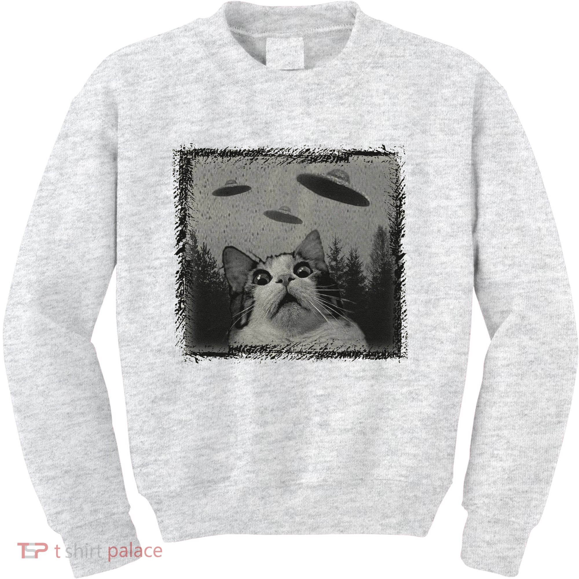 Cat And UFOs Funny Cat Lover Funny Cute Cat Meme Kids Sweatshirt