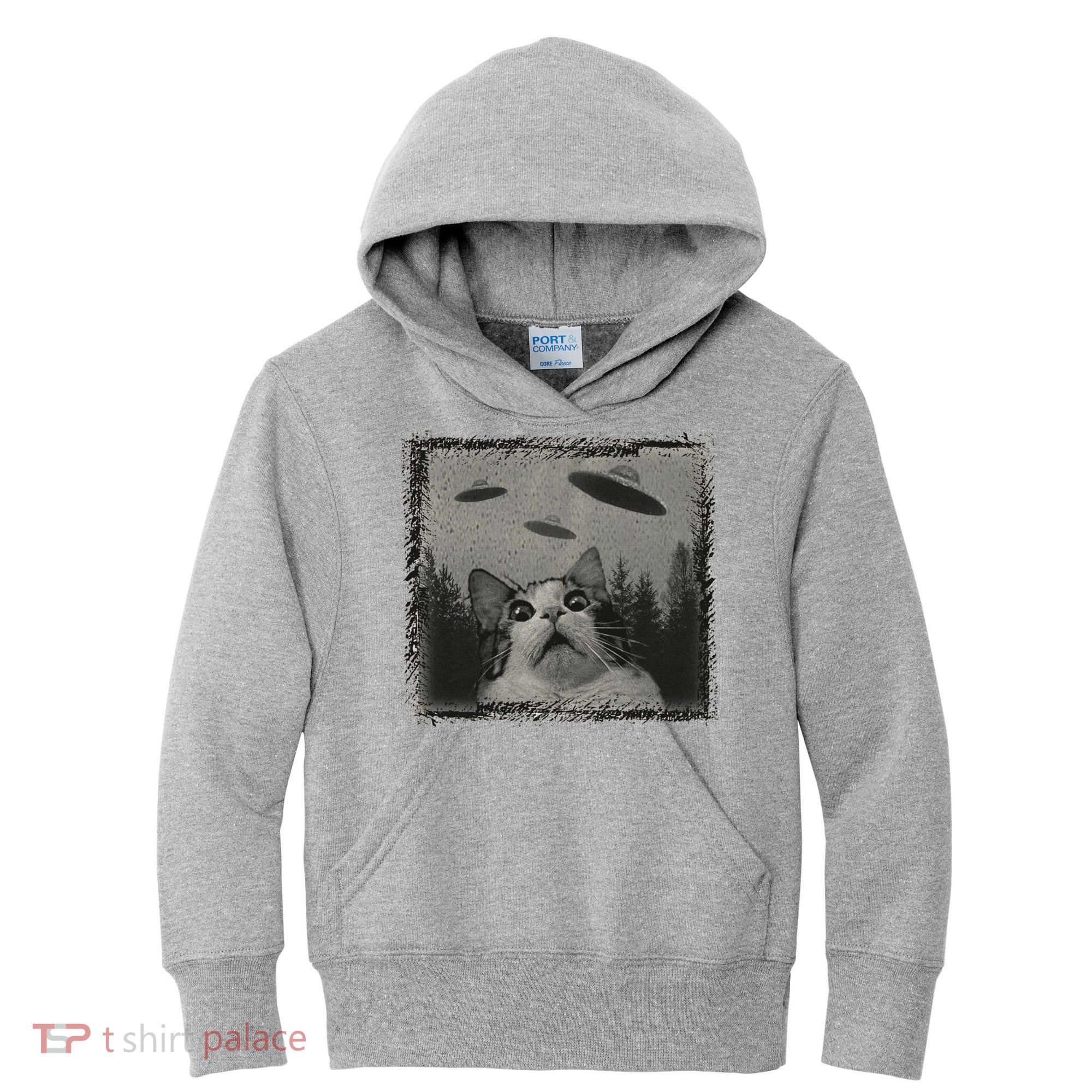 Cat And UFOs Funny Cat Lover Funny Cute Cat Meme Kids Hoodie