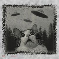 Cat And UFOs Funny Cat Lover Funny Cute Cat Meme Kids Hoodie thumb 2