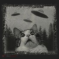 Cat And UFOs Funny Cat Lover Funny Cute Cat Meme Beanie thumb 2