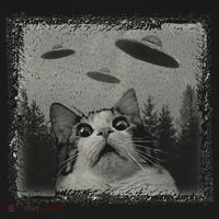 Cat And UFOs Funny Cat Lover Funny Cute Cat Meme Polo thumb 3