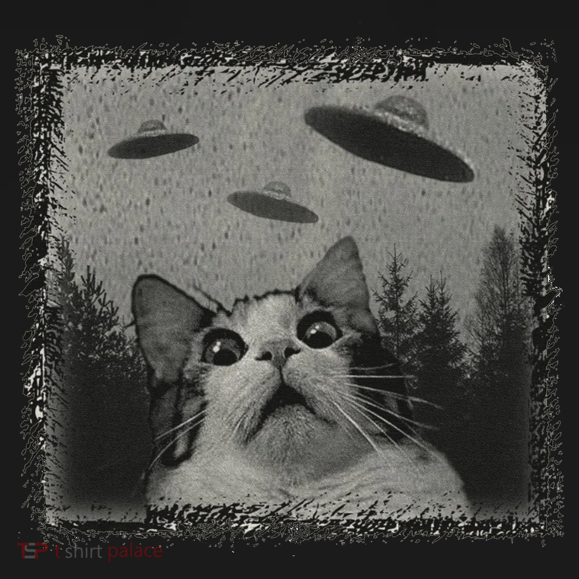 Cat And UFOs Funny Cat Lover Funny Cute Cat Meme Women's Hoodie