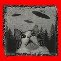 Cat And UFOs Funny Cat Lover Funny Cute Cat Meme Santa Hat thumb 1
