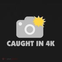 Caught In 4K Ornament thumb 1