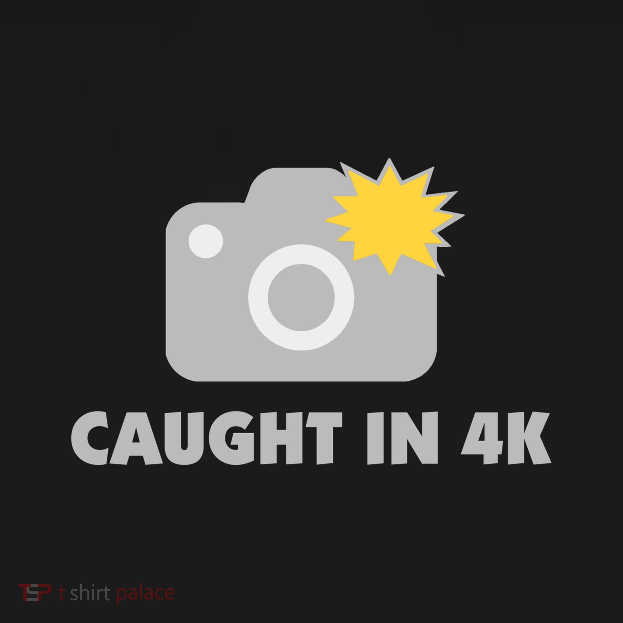Caught In 4K Ornament
