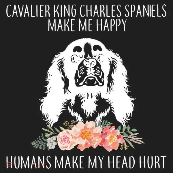 Cavalier King Charles Make Me Happy Women's Sweatshirt