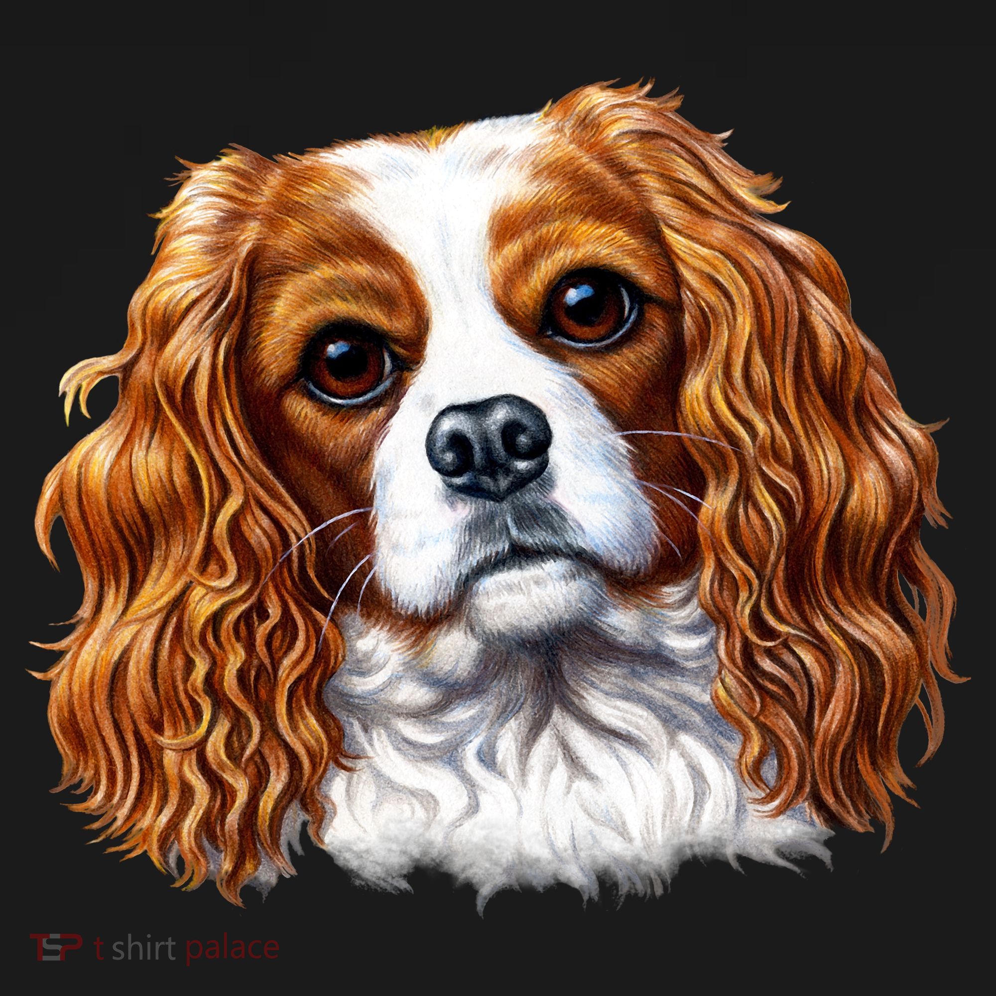 Cavalier King Charles Spaniel Dog Polo