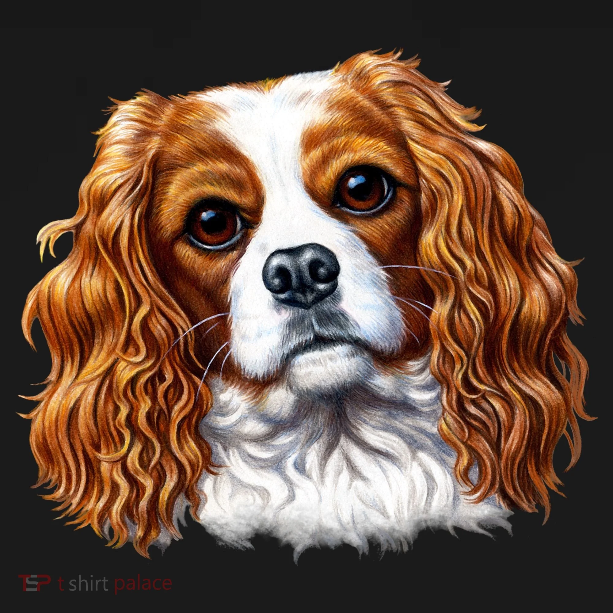 Cavalier King Charles Spaniel Dog Women's Long Sleeve Shirt