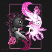 Cute Axolotl Yin Yang Plush Pets Cherry Blossom Women's Hoodie thumb 2