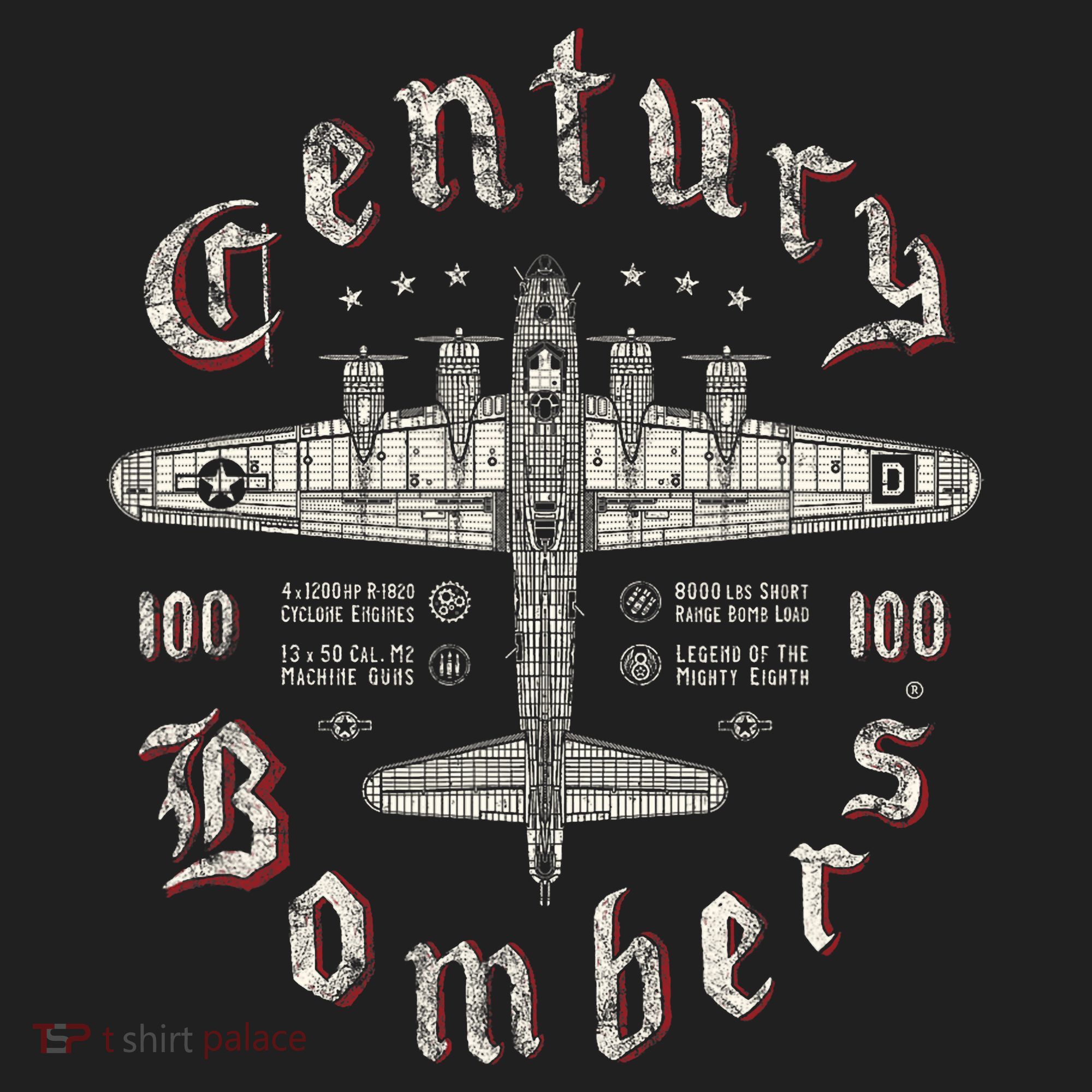 Century Bombers 100th Bomb Group B 17 Hat