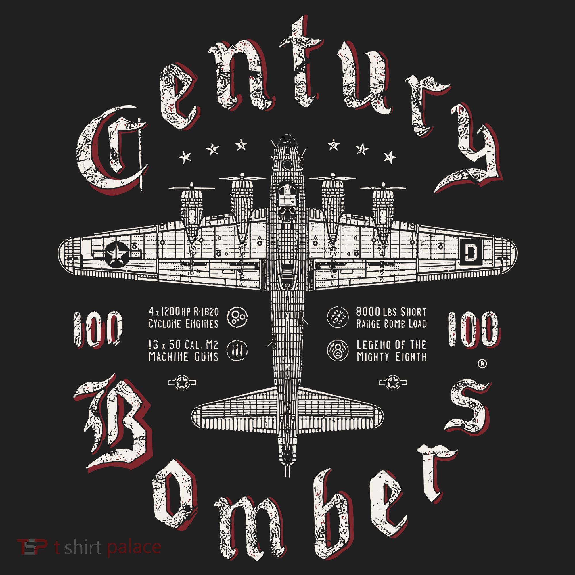 Century Bombers 100th Bomb Group B 17 Hat