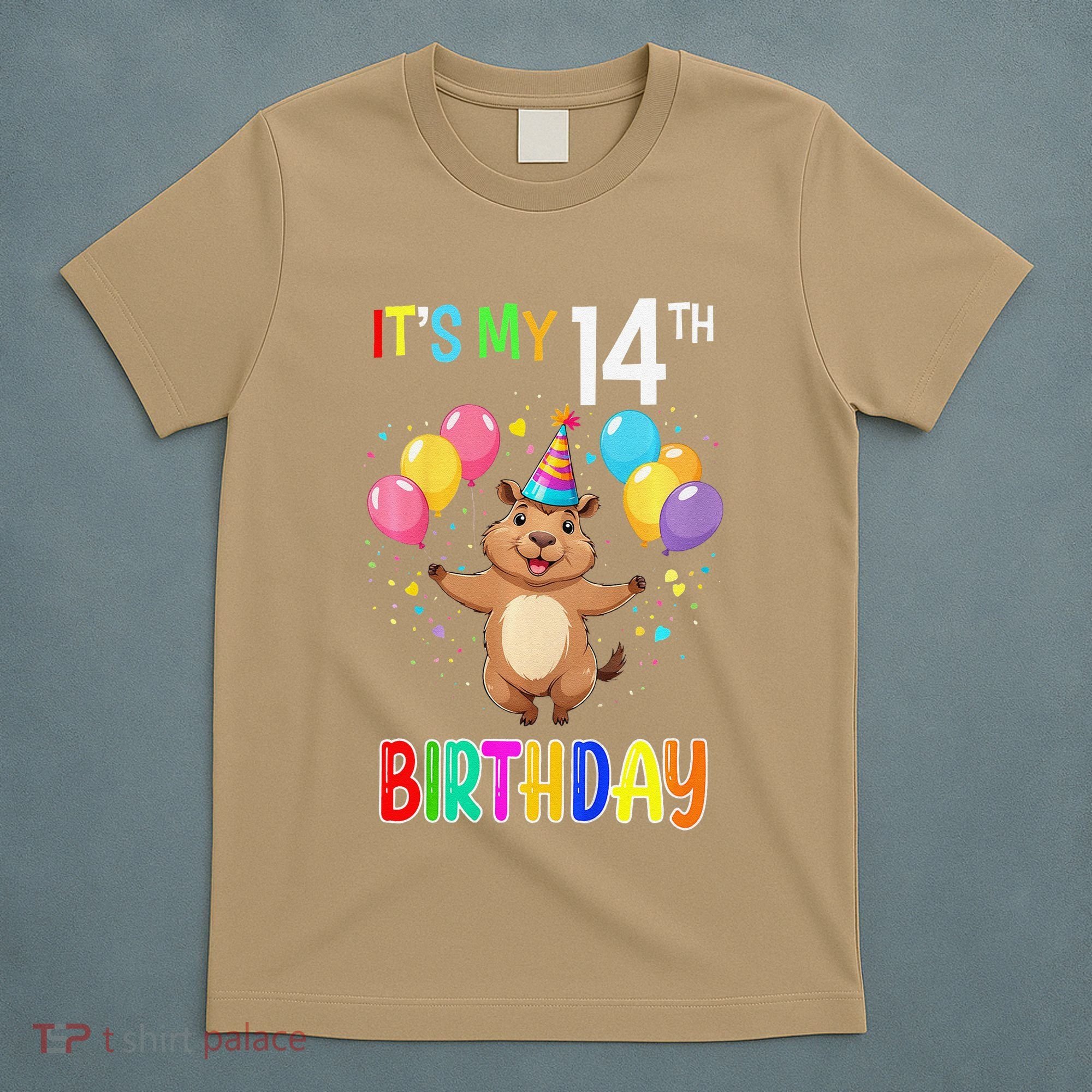 Capybara Birthday 14 Birthday Party 14th Birthday T-Shirt