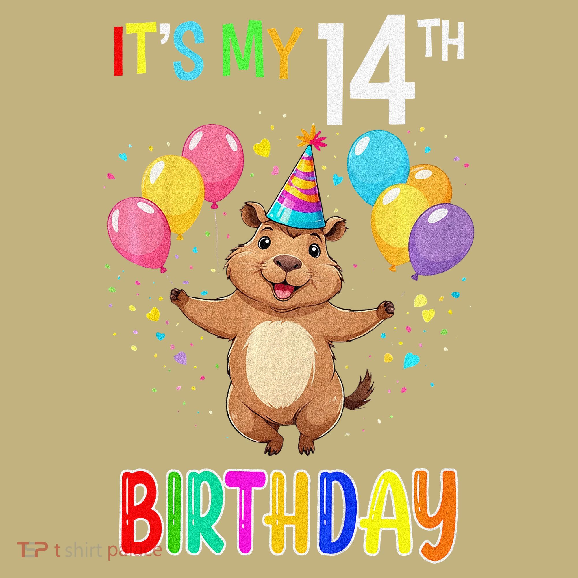 Capybara Birthday 14 Birthday Party 14th Birthday T-Shirt