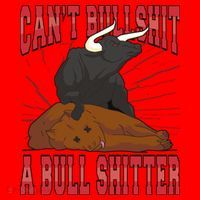 Can't Bullshit A Bull Shitter Funny Santa Hat thumb 1