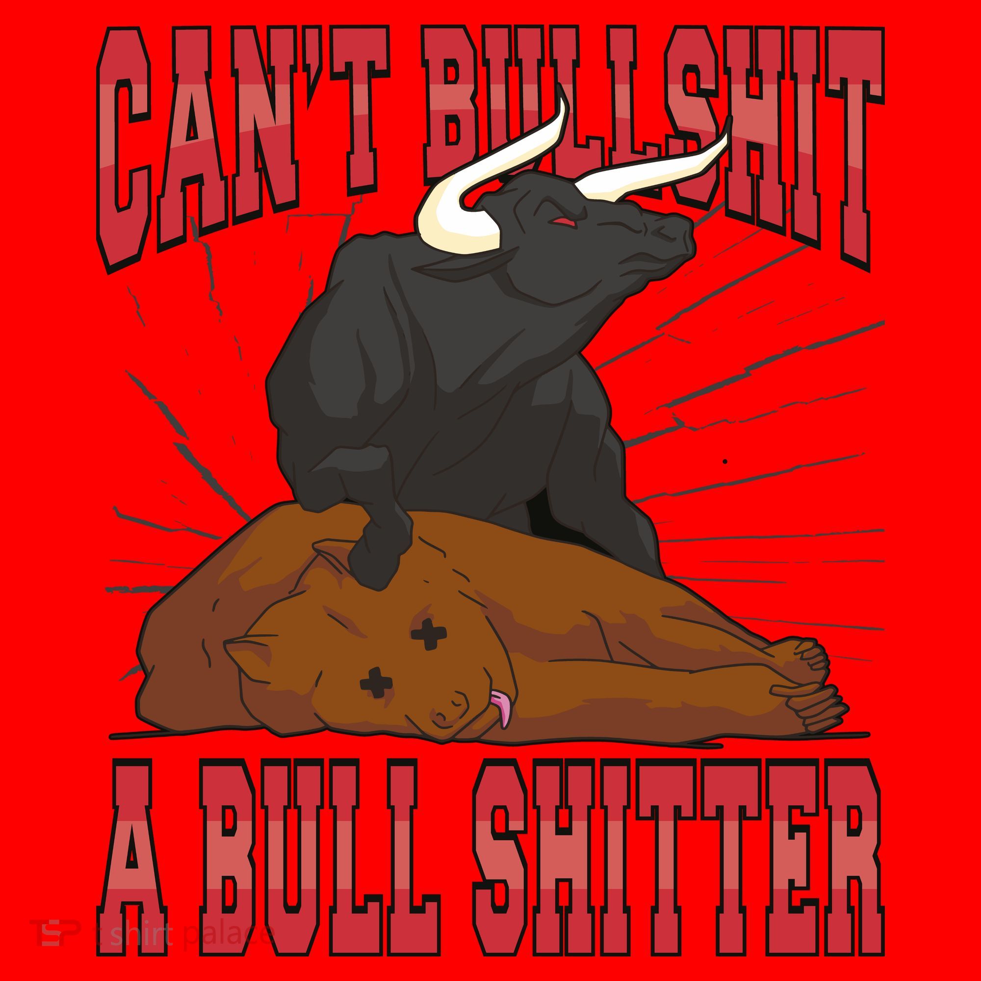 Can't Bullshit A Bull Shitter Funny Santa Hat