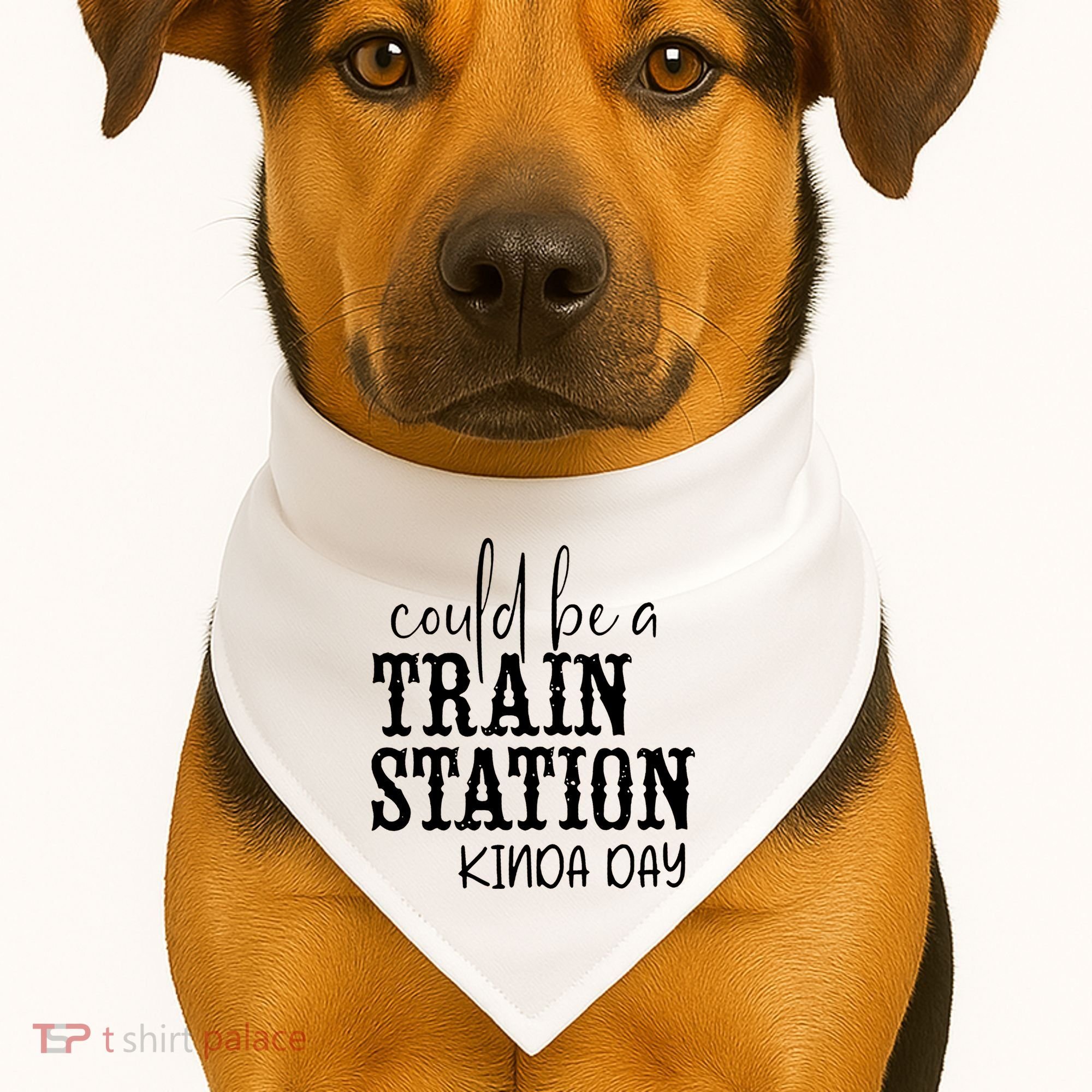 Could Be A Train Station Kinda Day USA-Made Doggie Bandana