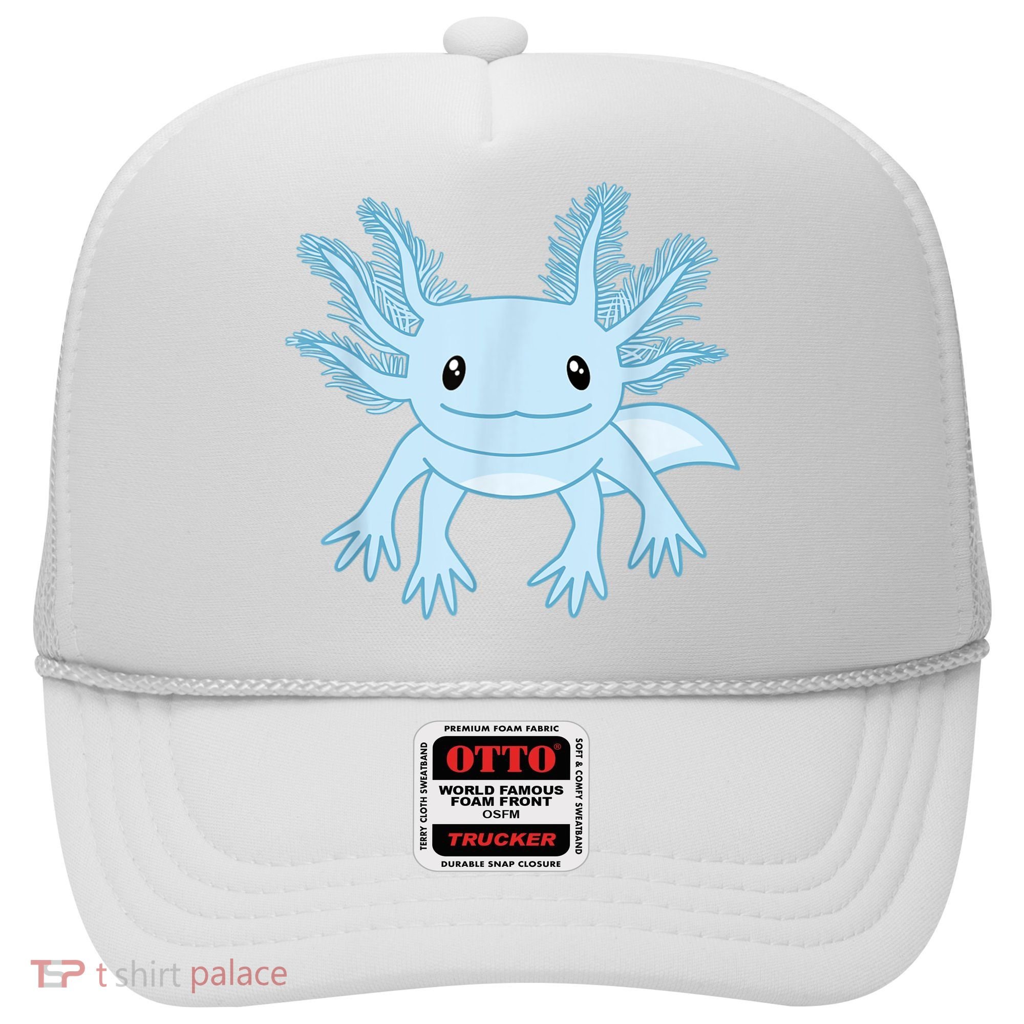 Cute Blue Axolotl Kawaii Aesthetic Axolotls Hat