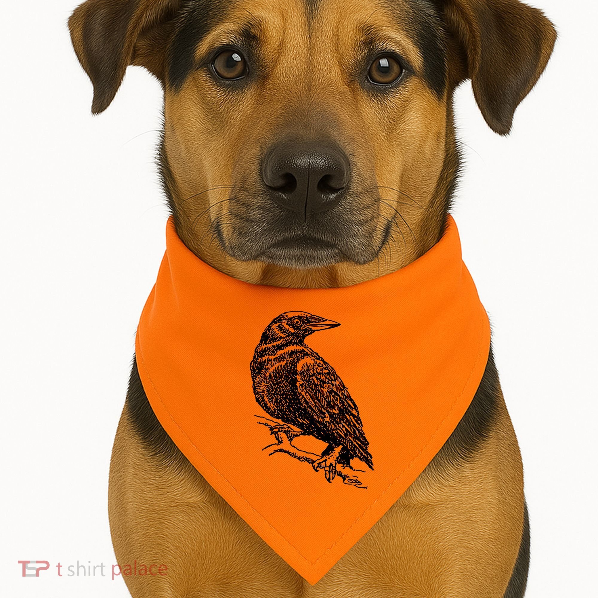 Crow Black Bird USA-Made Doggie Bandana