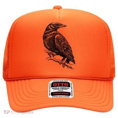 Crow Black Bird Hat