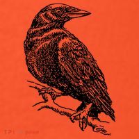 Crow Black Bird Toddler T-Shirt thumb 2