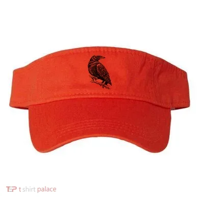 Visor