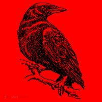Crow Black Bird Santa Hat thumb 1