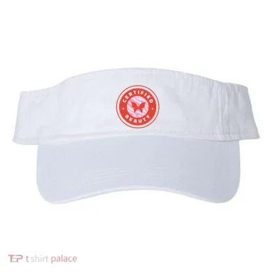 Visor