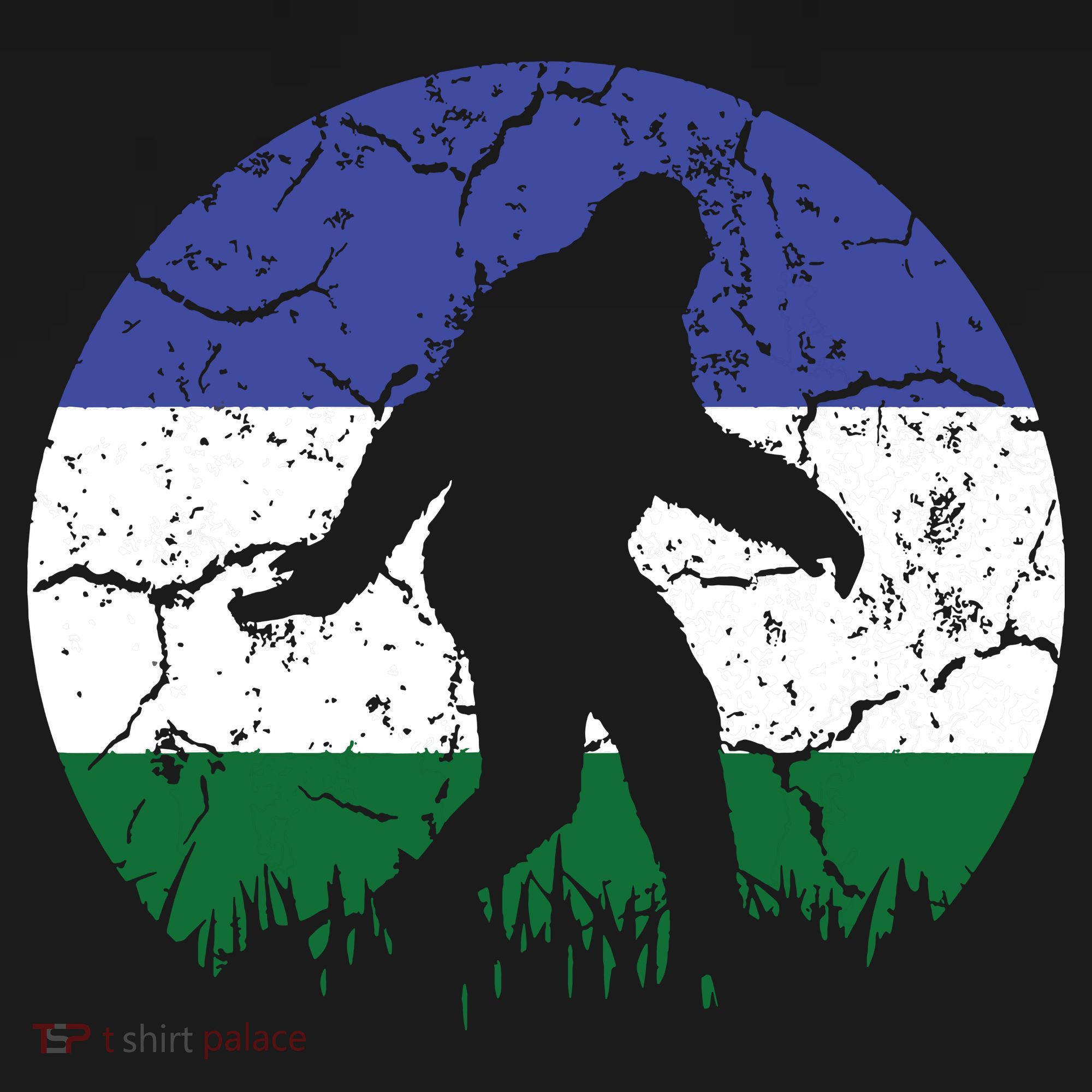 Cascadia Bioregion Bigfoot Flag Independence Vintage T-Shirt
