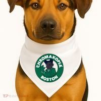 C.H.R.O.M.A.K.O.P.I.A Boston USA-Made Doggie Bandana thumb 1