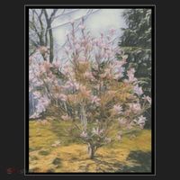 Cherry Blossoms Women's Sweatshirt thumb 2
