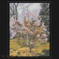 Cherry Blossoms Hoodie thumb 2