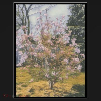 Cherry Blossoms Tie-Dye Long Sleeve Shirt