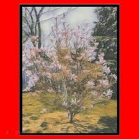 Cherry Blossoms Santa Hat thumb 1