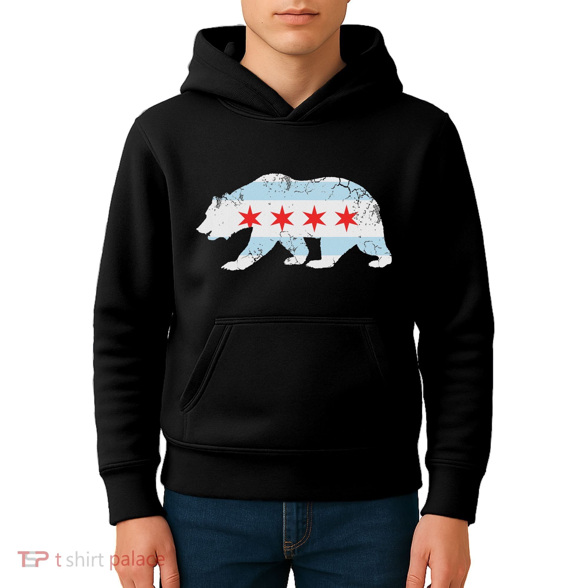 California Bear Chicago Flag Transplant Family Home Kids Hoodie