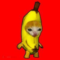 Cute Banana Cat Happy Bananacat Meme Kitty Santa Hat thumb 1