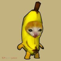 Cute Banana Cat Happy Bananacat Meme Kitty Sweatshirt thumb 2
