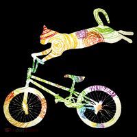 Cat Bike Cycling Bicycle Your Gift Collection Women's Hoodie thumb 2