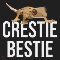 Crestie Bestie Crested Gecko Reptile Lizard Pet Lover Gift Tumbler thumb 3