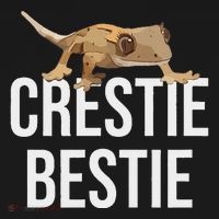 Crestie Bestie Crested Gecko Reptile Lizard Pet Lover Gift Baby Bodysuit thumb 2