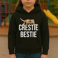 Crestie Bestie Crested Gecko Reptile Lizard Pet Lover Gift Kids Hoodie thumb 3
