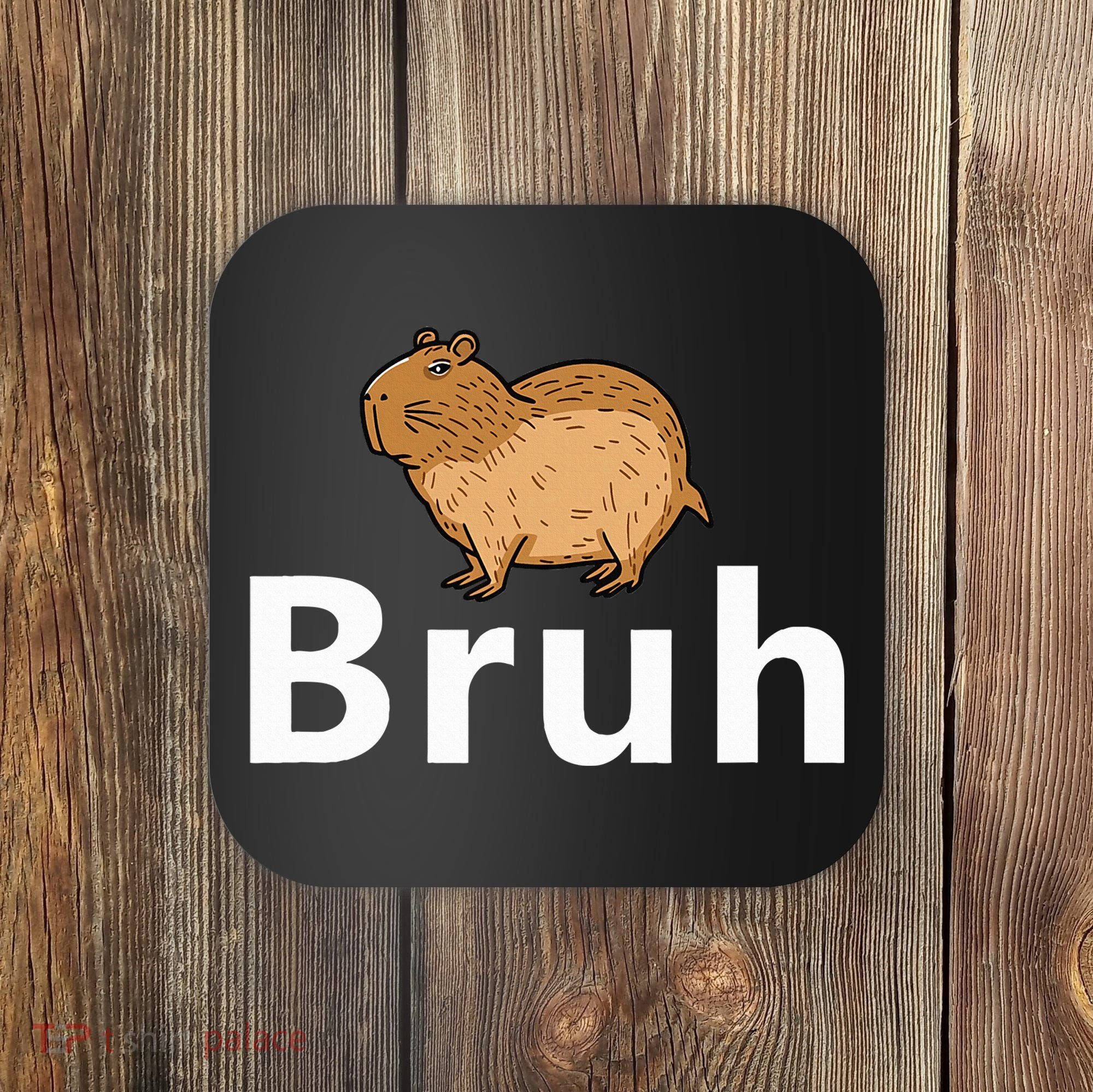 Capybara Bruh Coaster