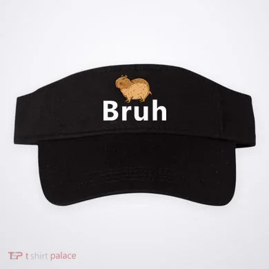 Visor