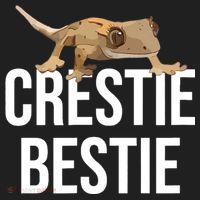 Crestie Bestie Crested Gecko Reptile Lizard Pet Lover Gift TShirt Women's Sweatshirt thumb 2