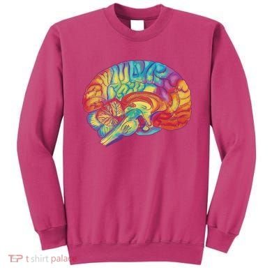 Colorful Brain Sweatshirt
