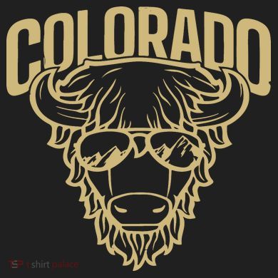 Cool Buffalo Colorado Boulder Game Day Comfort Colors Heavyweight Long Sleeve T-Shirt