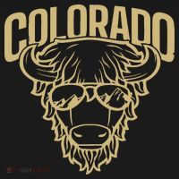 Cool Buffalo Colorado Boulder Game Day T-Shirt thumb 7