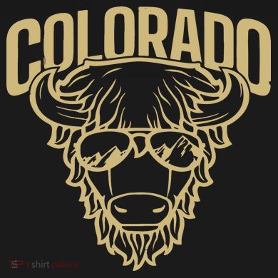 Cool Buffalo Colorado Boulder Game Day Button