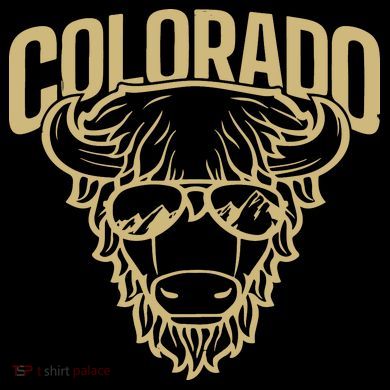 Cool Buffalo Colorado Boulder Game Day 16oz Travel Tumbler