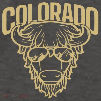 Cool Buffalo Colorado Boulder Game Day Vector Backpack